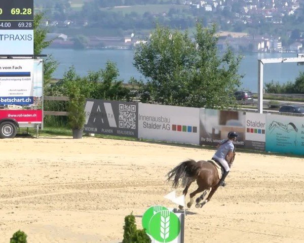 Reitturnier Wädenswil 2025