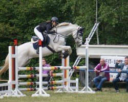 Springpferd Clea Clarice (Holsteiner, 2010)
