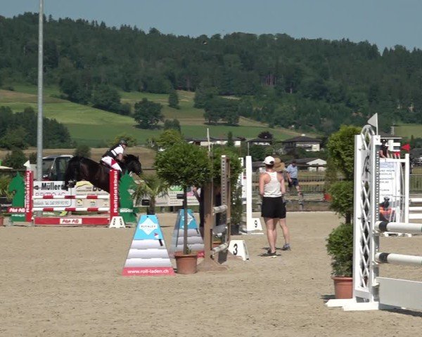 Reitturnier Hitzkirch 2025