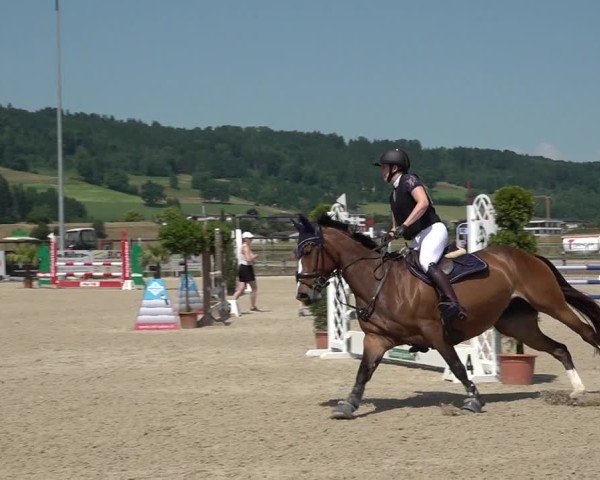 Reitturnier Hitzkirch 2025