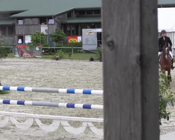 Coesfelder Reitertage 2014