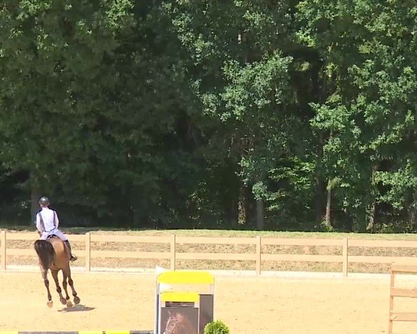 Reitturnier Tiefenhof/Opf. 2025