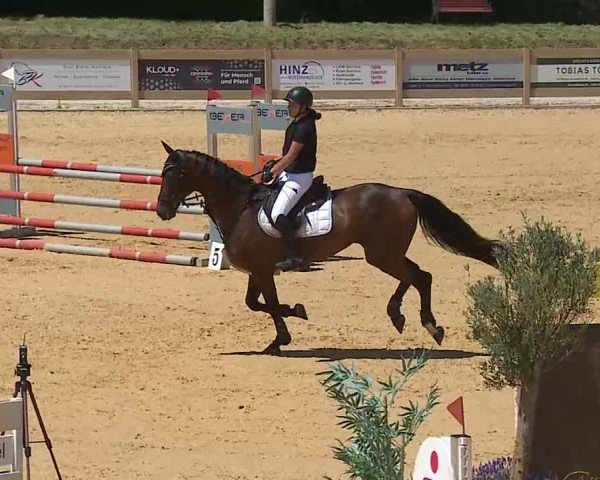 Reitturnier Tiefenhof/Opf. 2025