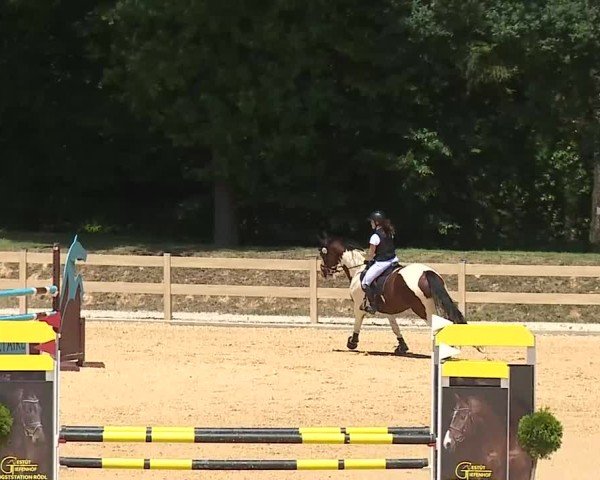 Reitturnier Tiefenhof/Opf. 2025