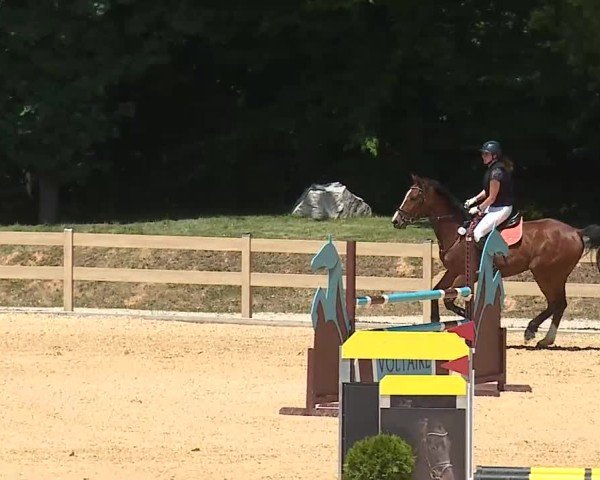 Reitturnier Tiefenhof/Opf. 2025