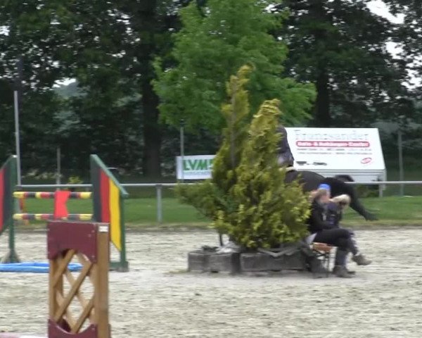 Coesfelder Reitertage 2014