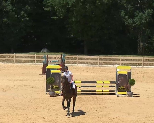 Reitturnier Tiefenhof/Opf. 2025