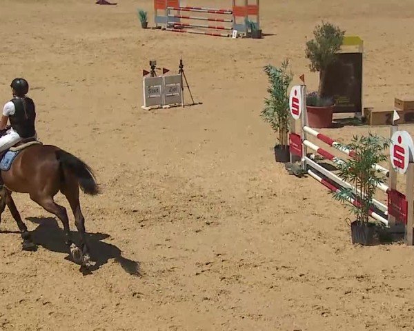 Reitturnier Tiefenhof/Opf. 2025
