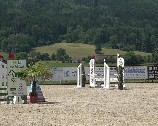 Reitturnier Hitzkirch 2025