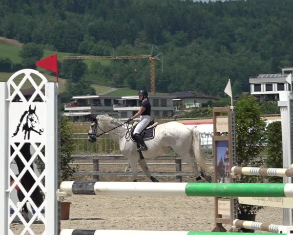 Reitturnier Hitzkirch 2025