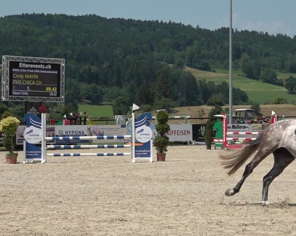 Reitturnier Hitzkirch 2025