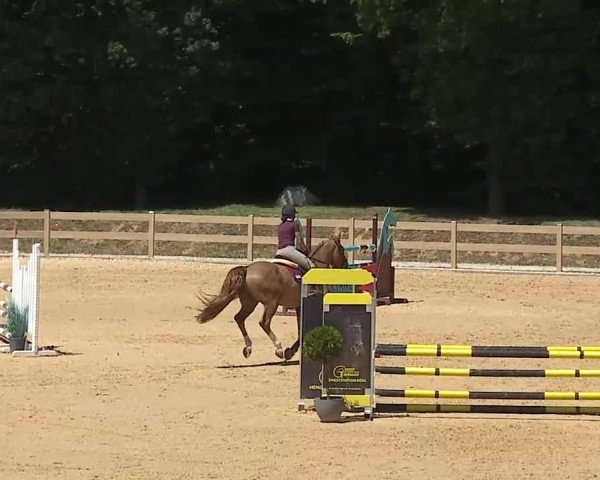 Reitturnier Tiefenhof/Opf. 2025