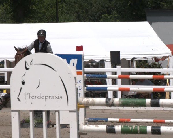 Reitturnier Dortmund-Somborn 2025