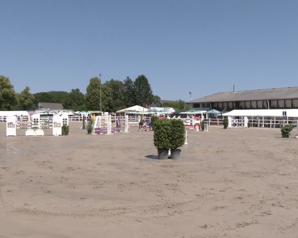 Reitturnier Dortmund-Somborn 2025