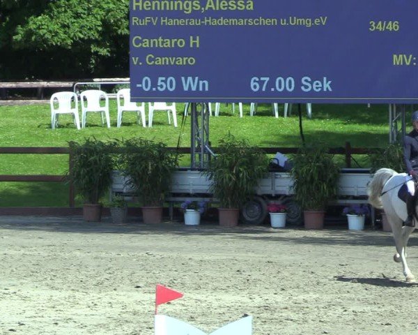 Reitturnier Breitenburg 2025