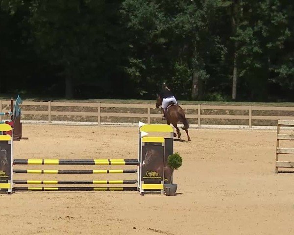 Reitturnier Tiefenhof/Opf. 2025