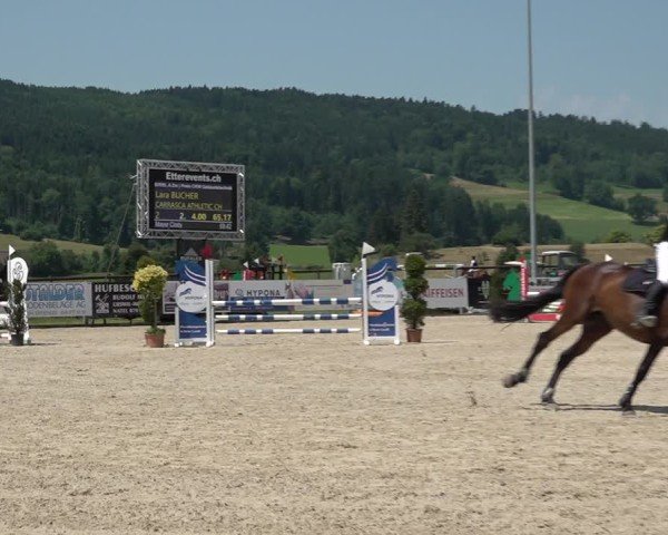 Reitturnier Hitzkirch 2025
