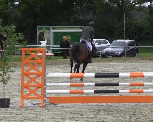 Coesfelder Reitertage 2014