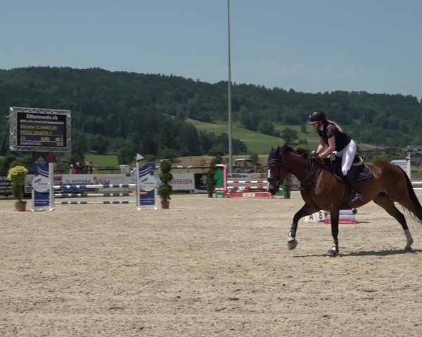 Reitturnier Hitzkirch 2025
