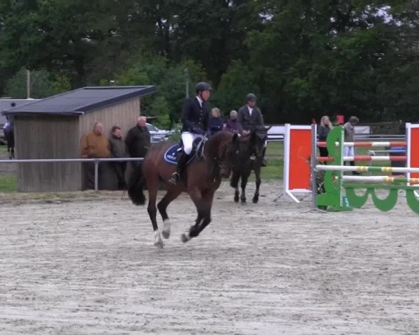 Coesfelder Reitertage 2014