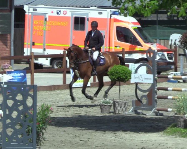 Reitturnier Breitenburg 2025