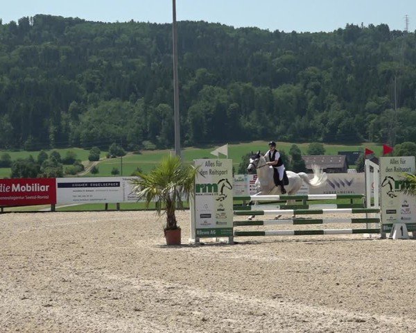 Reitturnier Hitzkirch 2025