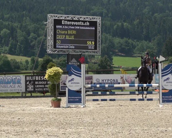 Reitturnier Hitzkirch 2025