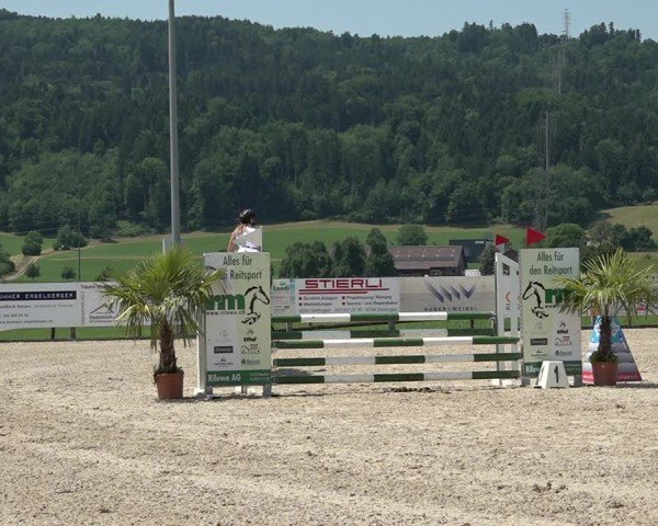 Reitturnier Hitzkirch 2025