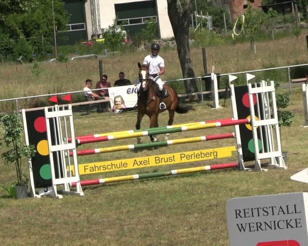Reitturnier Uenze 2025