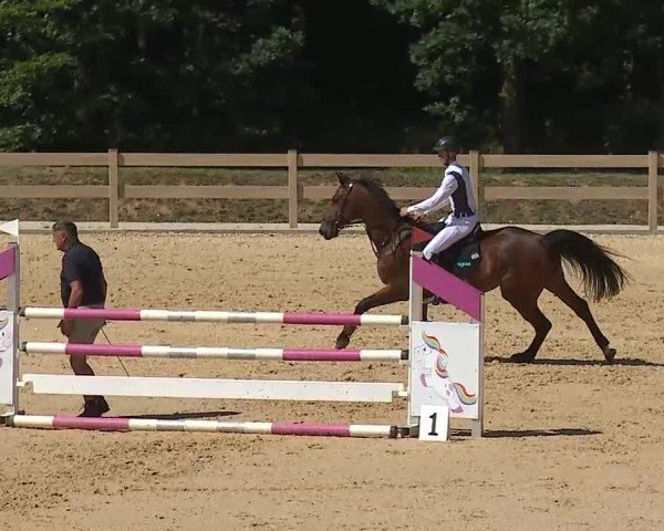 Reitturnier Tiefenhof/Opf. 2025