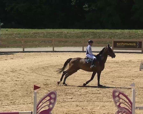 Reitturnier Tiefenhof/Opf. 2025