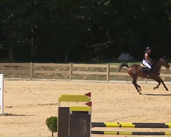 Reitturnier Tiefenhof/Opf. 2025