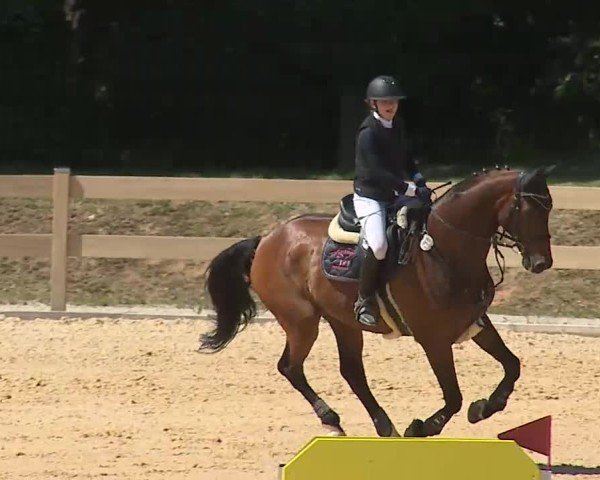 Reitturnier Tiefenhof/Opf. 2025