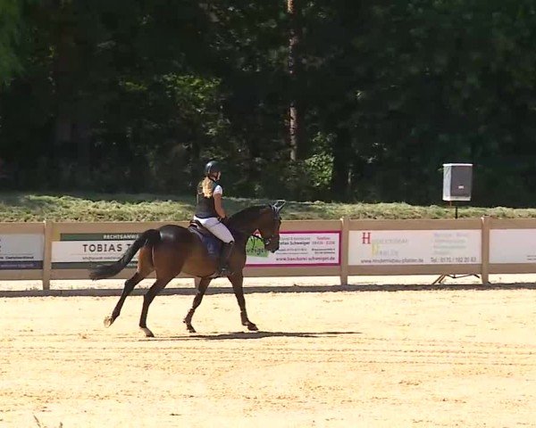 Reitturnier Tiefenhof/Opf. 2025