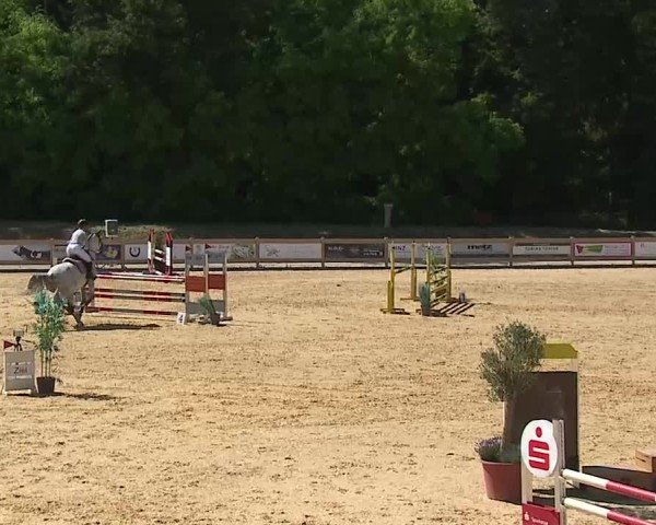 Reitturnier Tiefenhof/Opf. 2025