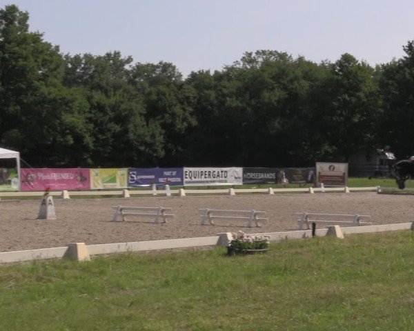 Reitturnier Münster, St. Georg 2025
