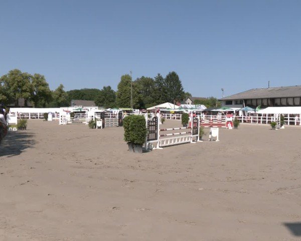 Reitturnier Dortmund-Somborn 2025