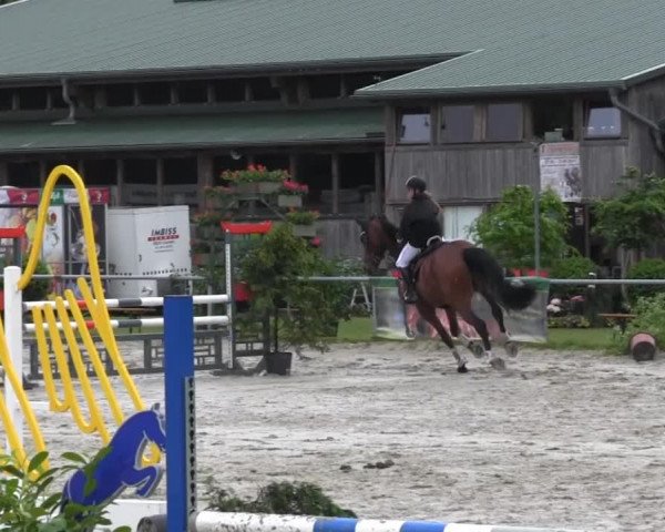 Coesfelder Reitertage 2014