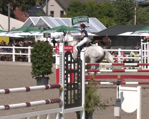 Reitturnier Dortmund-Somborn 2025