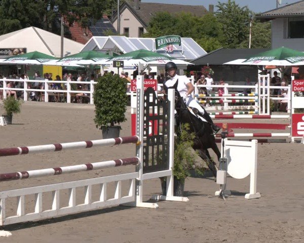Reitturnier Dortmund-Somborn 2025