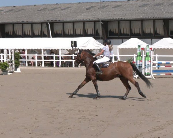 Reitturnier Dortmund-Somborn 2025