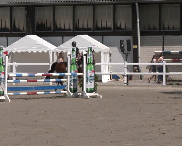 Reitturnier Dortmund-Somborn 2025