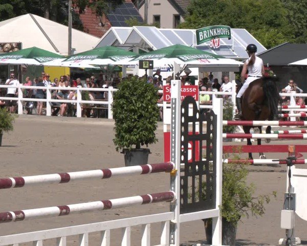 Reitturnier Dortmund-Somborn 2025