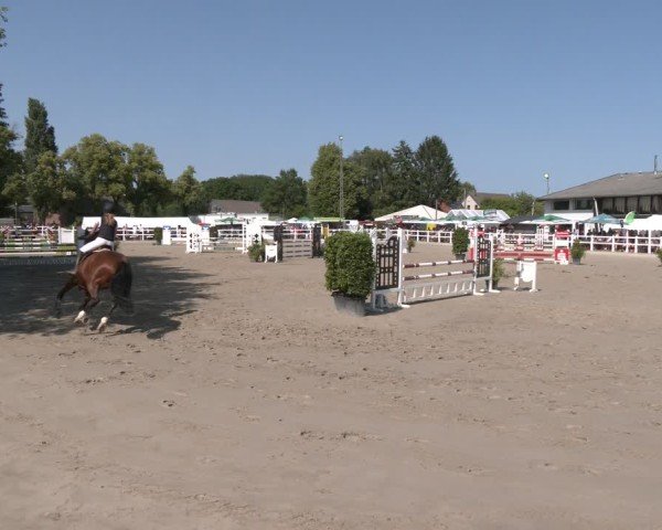 Reitturnier Dortmund-Somborn 2025