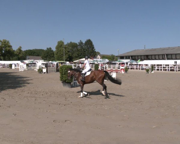 Reitturnier Dortmund-Somborn 2025