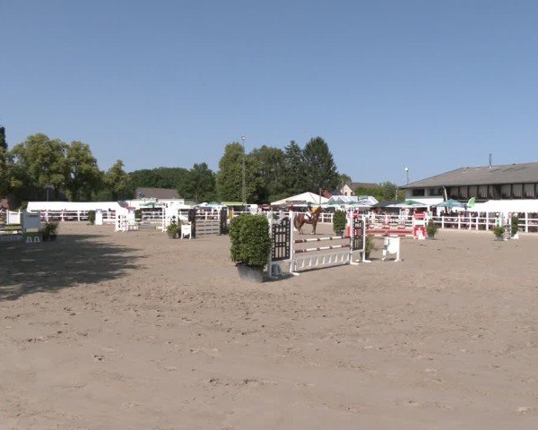 Reitturnier Dortmund-Somborn 2025