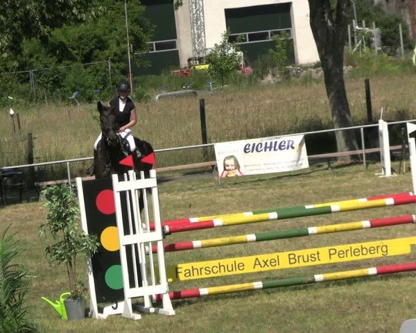 Reitturnier Uenze 2025