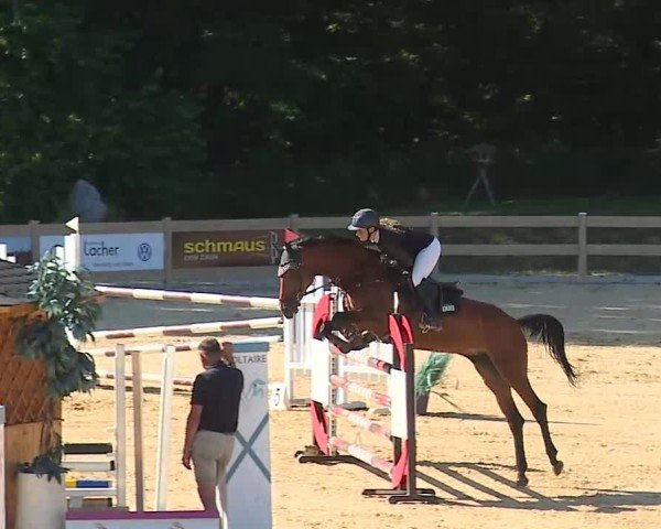 Reitturnier Tiefenhof/Opf. 2025