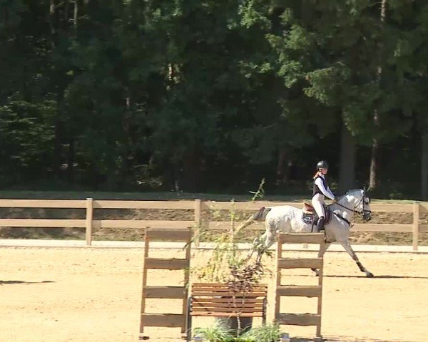 Reitturnier Tiefenhof/Opf. 2025