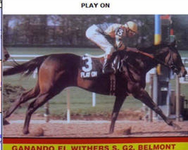 stallion Play On xx (Thoroughbred, 1981, from Stop the Music xx)